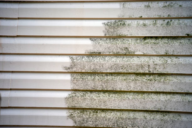 Best Storm Damage Siding Repair  in Chino Hills, CA