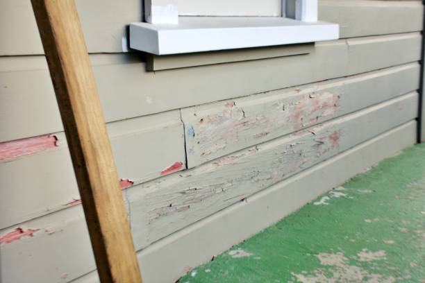 Affordable siding repair and maintenance services in Chino Hills, CA